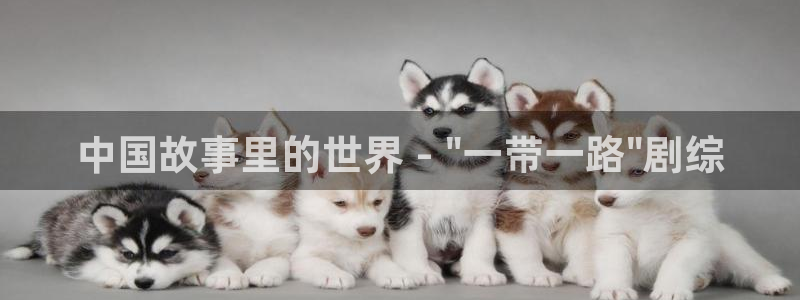 新闻图片