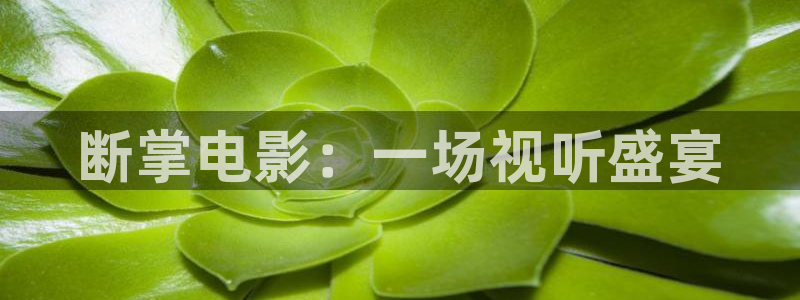 新闻图片